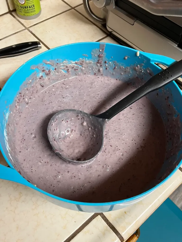 Cremă de iaurt probiotic cu afine pasate